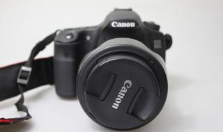 全画幅单反性价比之王 性价比高的单反