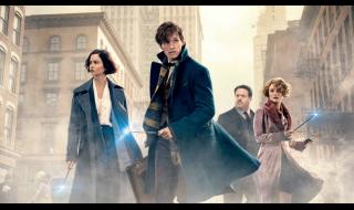 神奇动物2为什么被下架 神奇动物去哪里