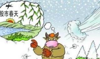 上证指数行情里的黄线代表什么意思 最新上证指数行情