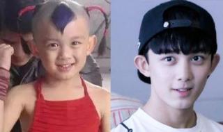 有哪些小动物小时候和长大了不1样 小时候vs长大后