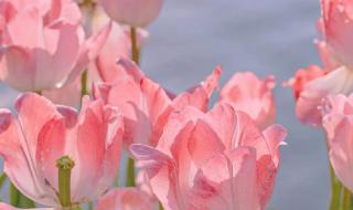 ps2022和2021的区别 2022最新图片