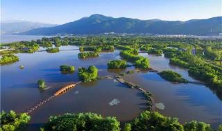 西岭雪山门票 西岭雪山门票