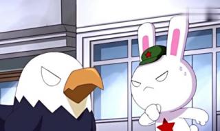 短道速滑为什么很少用兔子战术 兔子战术什么意思