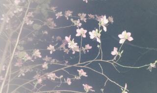 深圳市的回南天结束了吗 回南天什么时候结束