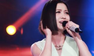 甄嬛传百科 甄嬛传主题曲谁唱的