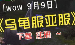 用大脚插件登陆魔兽世界怀旧服,怎么还是从战网进的游戏,插件也没有求高手解答 魔兽世界测试服插件